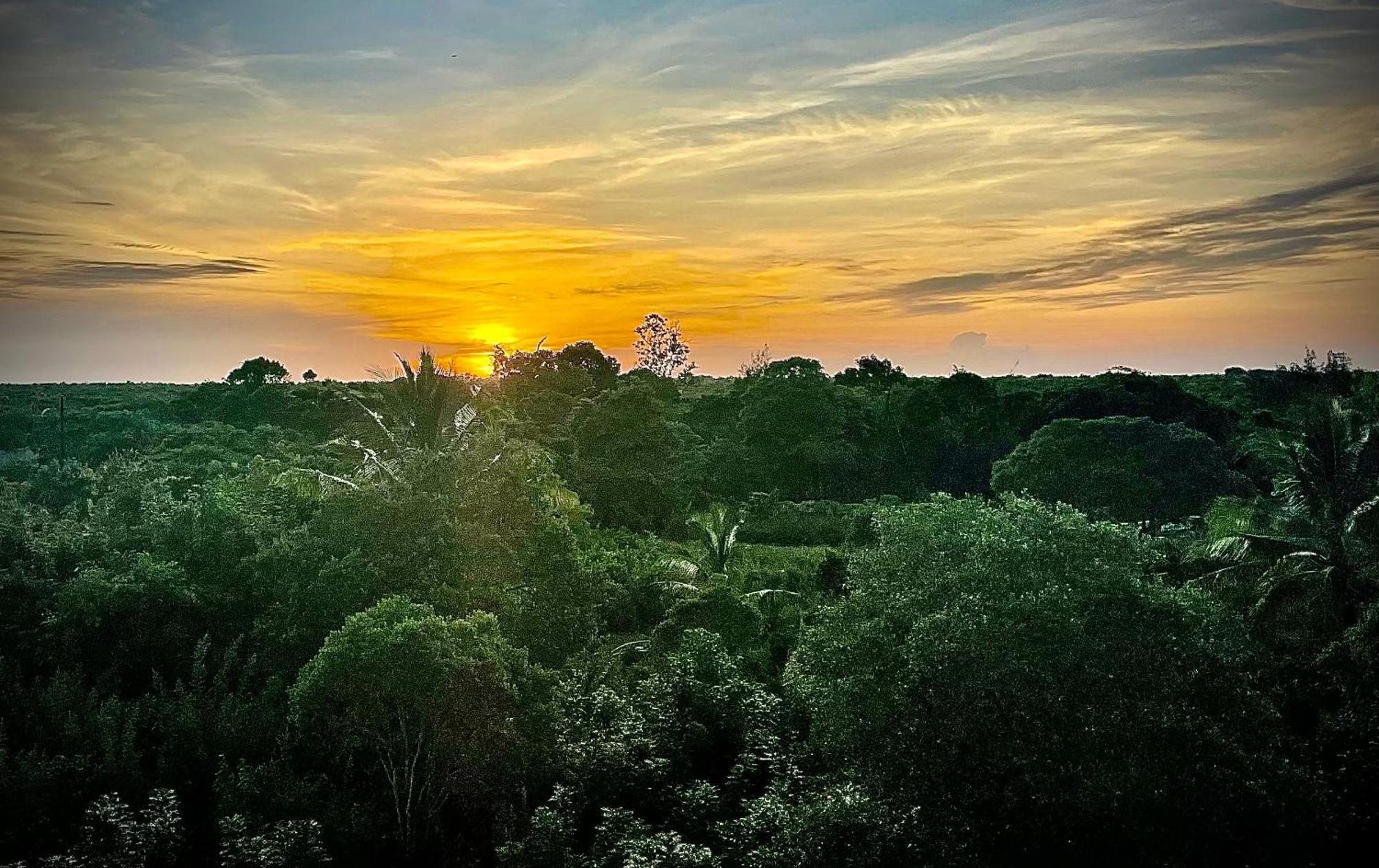 Zen Boutique Resort Jambiani  Kültér fotó